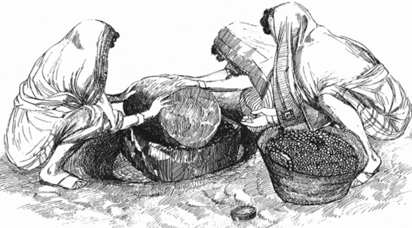 Dibujo antiguo: molienda manual de aceitunas con una piedra