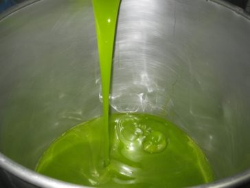 Freshly extracted olive oil pouring into a tank